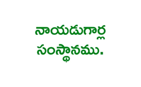 Naidu Gari Samsthanam