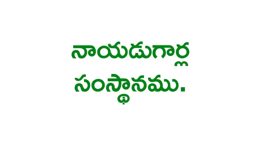 Naidu Gari Samsthanam